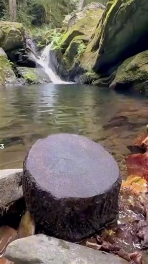 Another story time Fyp viral TikTok