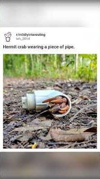 Functioning Cigarette Vending Machine in Pennsylvania