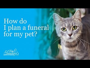 How do I plan a funeral for my pet?
