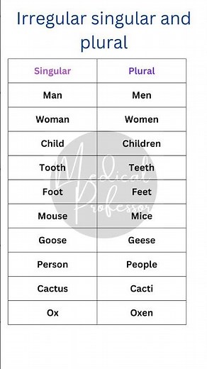 "10 Irregular Singular and Plural Nouns in English: Grammar Made Easy"