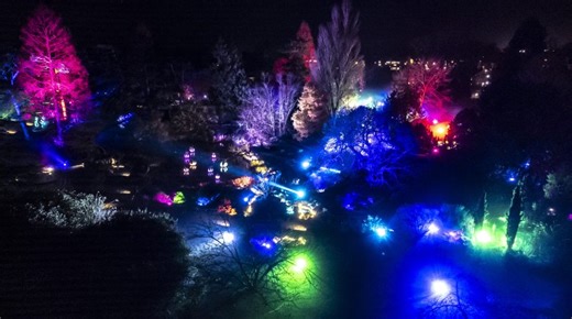 Cambridge Botanic Lights 2025 - Cambridge University Botanic Garden