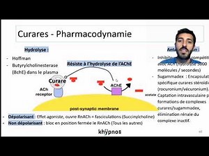 Khypnos : Focus sur les curares