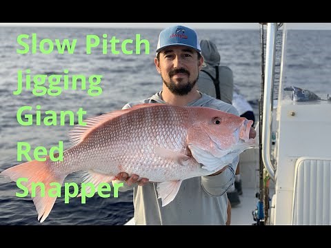Slow Pitch Jigging Dry Tortugas Florida..Crazy!!! Snapper Bite jigging Offshore Fishing Snapper