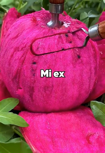 Indescriptible acción por un hogar seguro