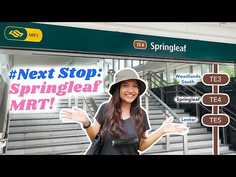 Explore around newly opened Springleaf MRT along Thomson East Coast Line | Next Stop