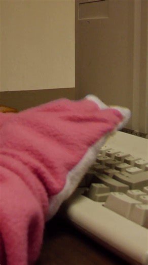 Dual Pentium MMX Retro Workstation from 1997 Booting Windows for Workgroups 3.11 in the BACKROOMS