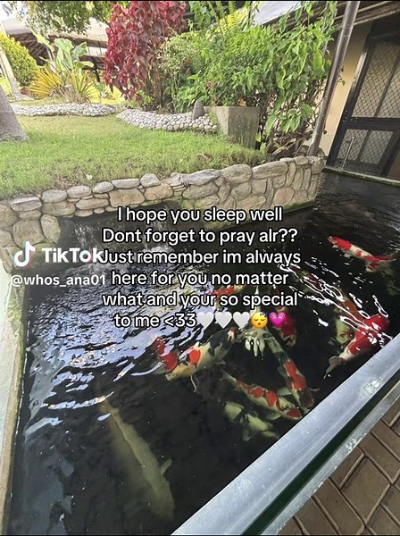 Good Night! Sleep Well with Comforting Wishes