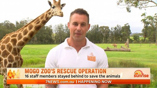 All week we've been checking in on people affected by last summer's devastating bushfires. This morning we caught up with Mogo Zoo Director Chad Staples, who bravely fought alongside his staff to save hundreds of animals from an oncoming blaze. | Sunrise