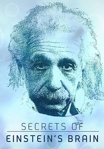 Secrets of Einstein's Brain streaming online