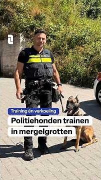 Politiehonden trainen met deze hitte op koelere plekken, zoals de mergelgrotten van Geulhem 🐶 | #L1