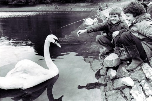 A few picture memories of the local beauty spot known as Worthington Lakes at Standish
