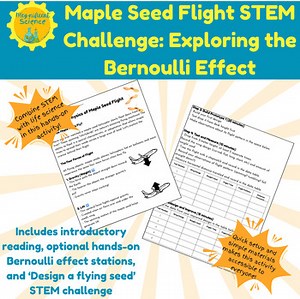 Bernoulli Effect: Maple Seed Flight Middle School STEM Activity