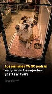 Animals can NO LONGER be kept in cages. Are you in favor?