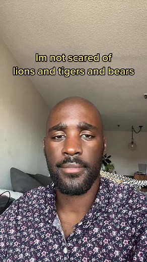 Exploring the Fascinating Shoebill Stork