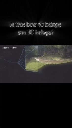 Is this how 4D beings perceive us? 🤔 #spacetime #blockuniverse #science #philosophy