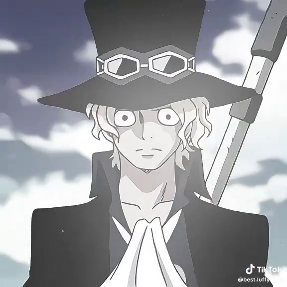 "kids forever" ac: @jade 🎧 asl ace one piece sabo one piece ace op ... | ace