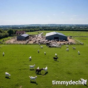 6.8K views · 135 reactions | Profitable  Business | Timmydechef Integrated Services Ltd | Facebook