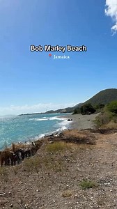 #jamaica 🇯🇲 | Roots Reggae