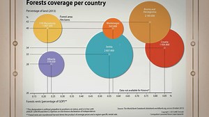 Importance of Forestry: Exploring the Importance of Forestry for Our Planet and Prosperity