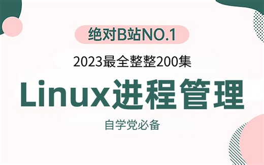 B站强推！2023年最新Linux进程管理全套顶级天花板教程，血赚！学完即可上岸，拿走不谢！