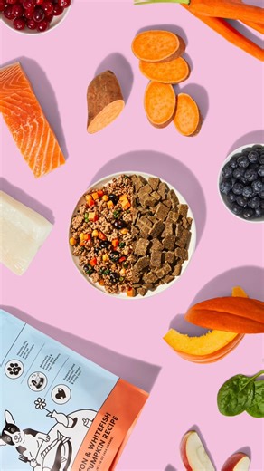 The Pets Table on Instagram: "More choices = happier pups! 🐶💙 One size doesn’t fit all, that’s why we offer more ways to feed your dog! At The Pets Table, you can choose between 4 plans and 9 recipes, more options than leading brands. 🥦 Fresh – Our delicious selection of human grade dog food. Made fresh with no preservatives or fillers & delivered frozen. 💨 Air-Dried – Healthy alternative to kibble and an affordable alternative to our Fresh recipes 🥗 Mixed