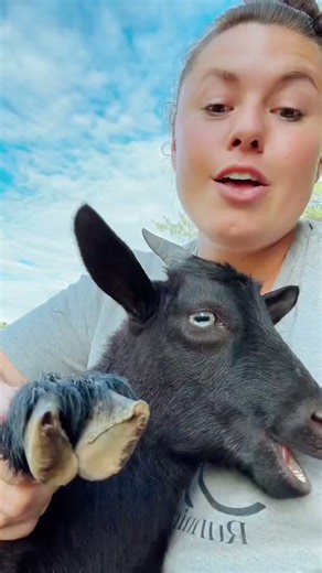 Singing Part of Your World with my baby goat sidekick