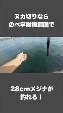 のべ竿・ヌカ切りでメジナを釣ろう！ #鹿島港魚釣園