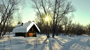 Winter, The Cabin In The Woods, Nature. Free Stock Video