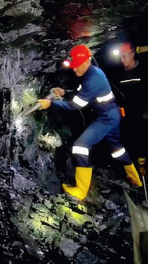 Beston ReGreen on TikTok