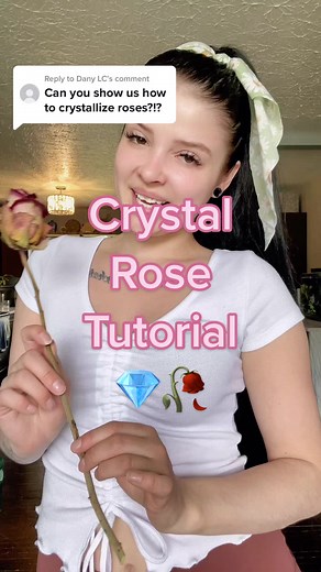 How to Crystallize a Rose with Borax: DIY Tutorial