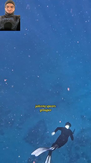 1.4K views · 33 reactions | Johnny spears a beautyful scamp grouper #all_terrain_outdoors #spearfishing #speargun | Jois Labobar | Facebook