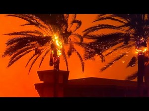 LA Firestorm: Extended Trailer for REELZ Wildfire Documentary