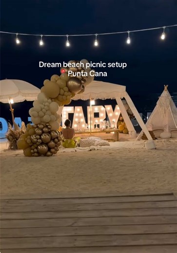 Dream Beach Picnic Setup in Punta Cana