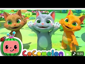 "10 Adorable Kitty Cat Moments That Will Meltdown Your Heart! ❤️🐾"