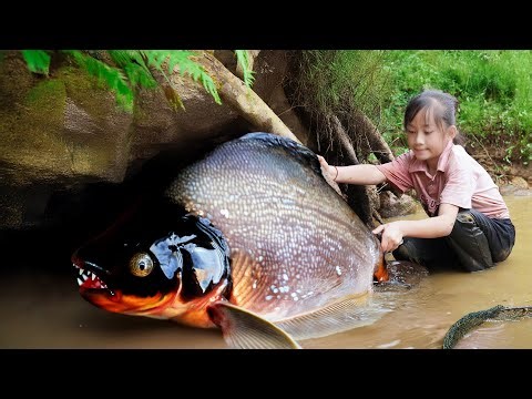 Amazing: How to Build Ancestral Catfish Traps - Catching 1000+ HUGE Fish Primitive Methods!