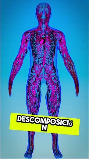 ¿Como funciona un embalsamamiento?