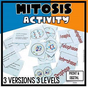 Mitosis Activity, Cell Division, Card Match-up/Sort | Print and Digital