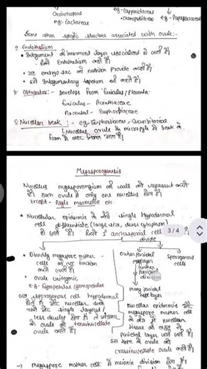 B.Sc. 2nd Semester Reproductive Botany Notes||Megasporogenesis||Female Gametophyte Development#bsc