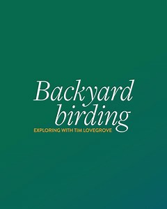 The weka is a large, brown flightless bird that has a famously feisty and curious personality. Have you had a backyard encounter with this native bird? For more on how you can #LetNatureIn and learn more about Aotearoa's native birds from home: https://doc.govt.nz/let-nature-in | Department of Conservation