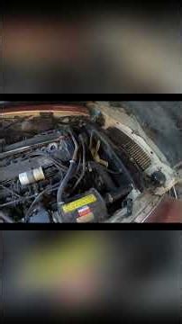 Hunting the Jaguar - Car Engine Inspection