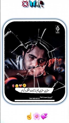 #غمجنه_ترانه😭#بهادرکوچي #نوي_2025_ترانه #غمجن_ترنم #غمجن_شعرونه #نعتشريف #مولوي_عبدالواسع_صميم