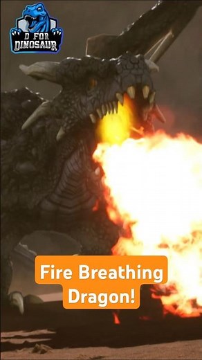 Fire Breathing Dragon! 🐉🔥