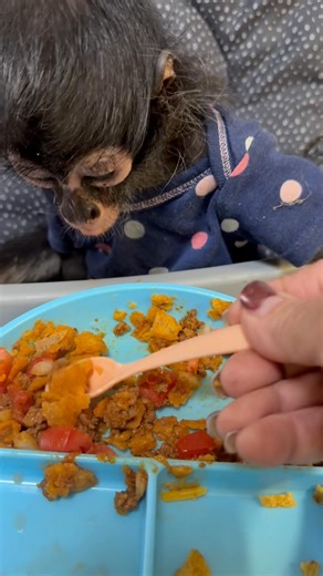 Kai loves Frito Pie with all the toppings. Krazy monkid ate two helpings. Hope she feels better than I do after the fact🙈 | Tonya Gulley