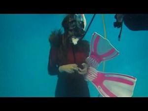 Ellen's successful bail-in in Tallahassee SCUBA instructor Gabrielle's class