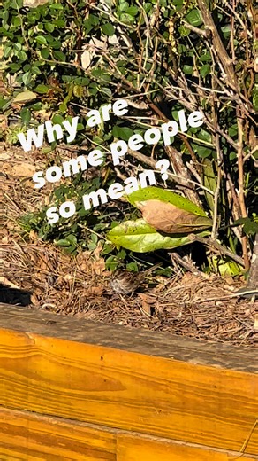 Exploring Alabama on Reels