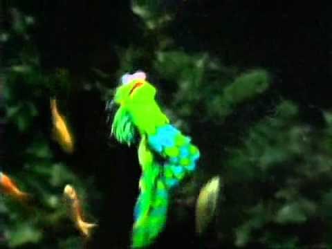 Muppets - When I'm Not Near the Fish I Love