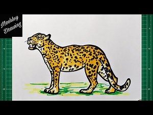 How to Draw a Leopard