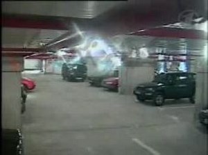 Анна Терехова