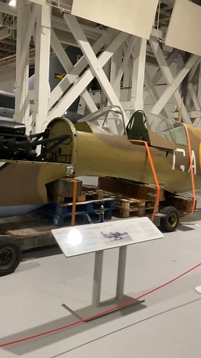 1.6K views · 47 reactions | Over 3,000 Curtis Kittyhawks were...