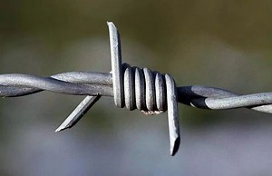 [Hot Item] Barbed Wire Fence